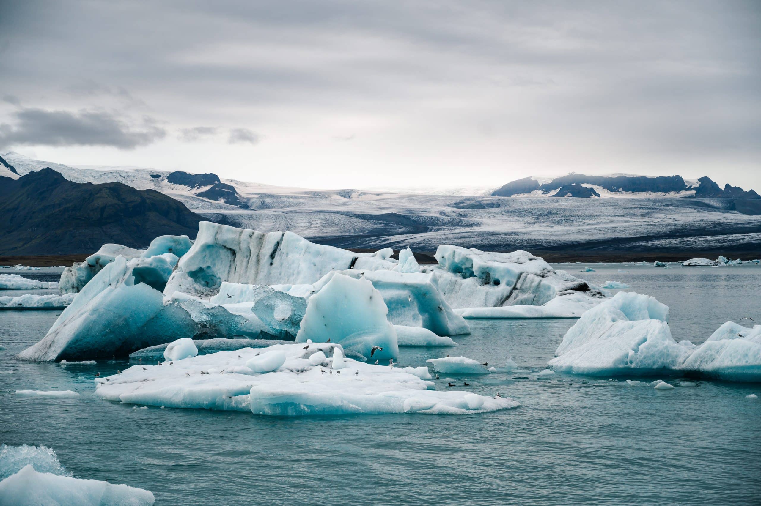 réaliser une croisière en Islande est l’automne ou le printemps